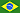 Português-Brasil